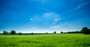 Choosing the Right Buyer for Your Land