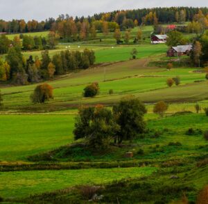Why Selling Your Land to TrueLand Connections Beats the Traditional Realtor Route